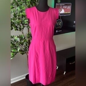 J Crew Resume dress
